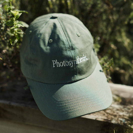 Photosynthesis Cap - kale