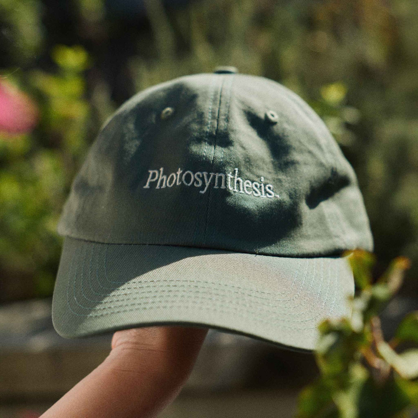Photosynthesis Cap - kale