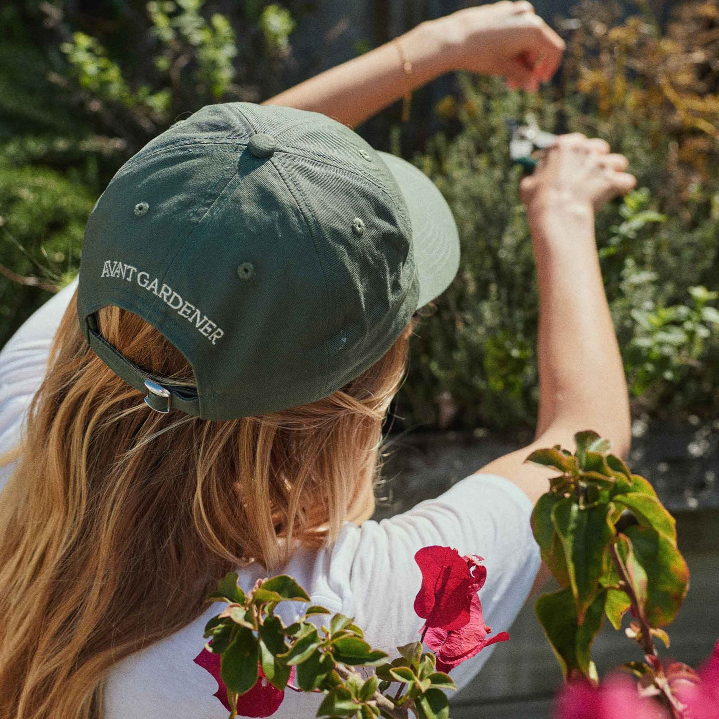 Photosynthesis Cap - kale
